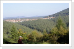 Blick nach Esthal
