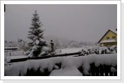 7. Dezember 2010